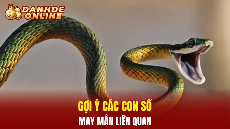 Gợi ý các con số may mắn liên quan 